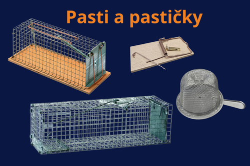 Pasti a pastičky